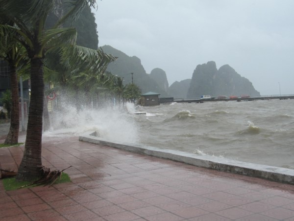 Quảng Ninh: Tạm ngừng cấp phép cho các phương tiện du lịch biển từ 16 giờ ngày 12/6