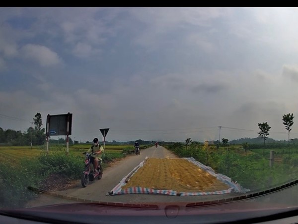 Phơi thóc giữa đường gây cản trở giao thông