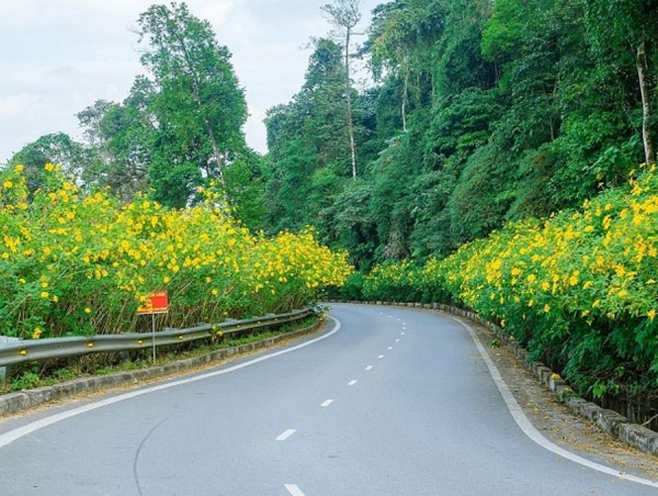 Hà Nội: cải tạo, nâng cấp đường lên Vườn quốc gia Ba Vì