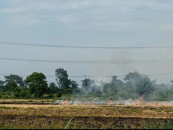 Tái diễn tình trạng phơi thóc, đốt rơm rạ ngoài đường tại Bắc Ninh