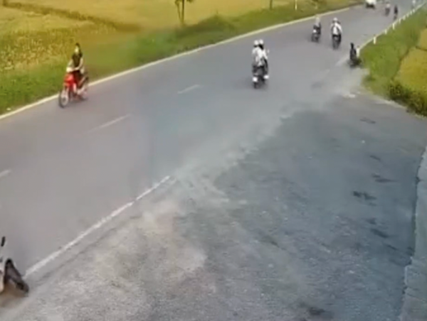 Xe máy lao thẳng xuống ruộng lúa ven đường