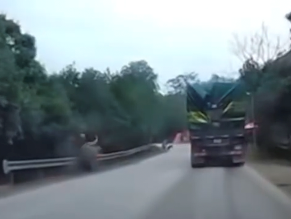 Người đàn ông bị lốp xe văng trúng tử vong