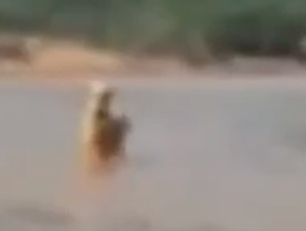 Khoảnh khắc thượng úy CSGT lao xuống sông cứu bé trai bị nước lũ cuốn