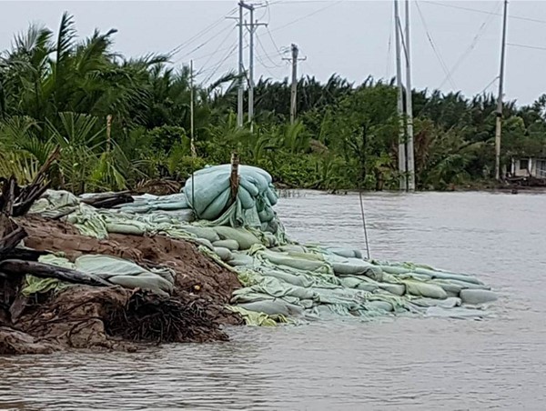 TP Hồ Chí Minh: Xem xét xử lý lãnh đạo Sở GTVT trong dự án bờ kè Tắc Sông Chà
