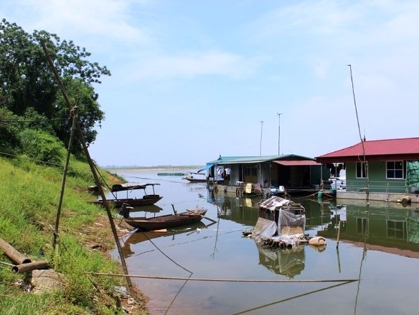 Cận cảnh "điểm nóng" sạt lở sông Hồng ở Ba Vì trước mùa mưa bão