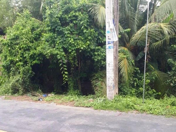 Cán bộ chốt kiểm dịch tử vong vì tai nạn giao thông