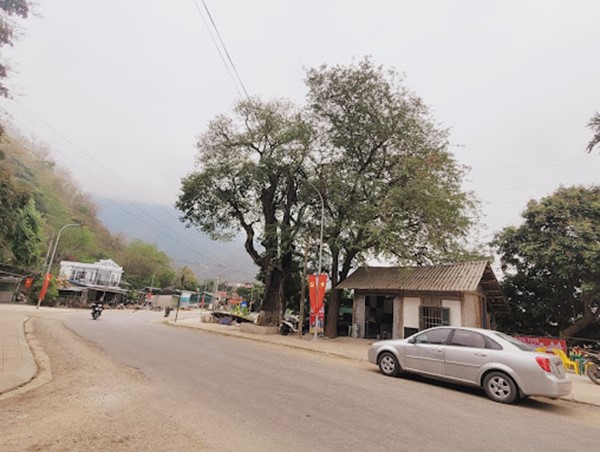 Đề xuất đầu tư 1.070 tỷ đồng nâng cấp, mở rộng 20 km Quốc lộ 15