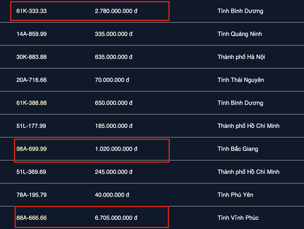 Bất ngờ với kết quả đấu giá biển số VIP 666.66 và 333.33 