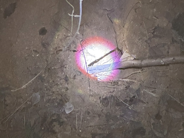 Đã tìm được phương án khắc phục sạt lở trong hầm bãi Gió