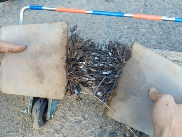 Hành vi rải đinh có thể bị truy tố