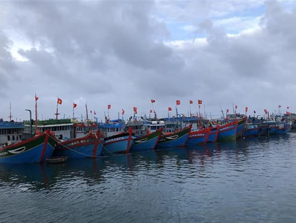 Cấm biển, dừng cáp treo, phà tại Hải Phòng để tránh bão từ trưa 22/7