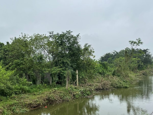 Sẽ cưỡng chế thu hồi đất làm đường của 15 hộ dân xã Hồng Minh vào ngày 13/8