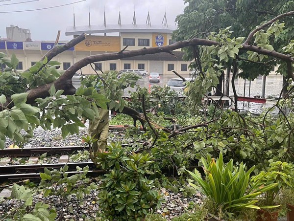 Bão số 3 khiến nhiều cây gãy đổ ngang đường sắt, hàng loạt tàu dừng chạy