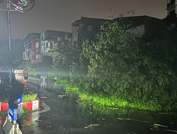 Đến 19 giờ ngày 7/9: Hà Nội gần 2.500 cây gãy đổ, 4 người thương vong, nhiều xe hư hỏng