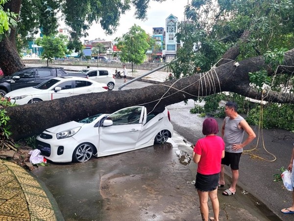 Quy trình bồi thường bảo hiểm xe ô tô hư hại do mưa bão