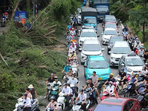 Cây xanh ngã đổ khiến đường phố Hà Nội ùn tắc nghiêm trọng