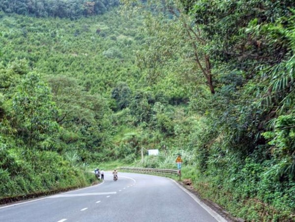 Cấm ô tô tải từ 20 tấn qua đèo Bảo Lộc trong thời gian khai mạc Festival Hoa Đà Lạt