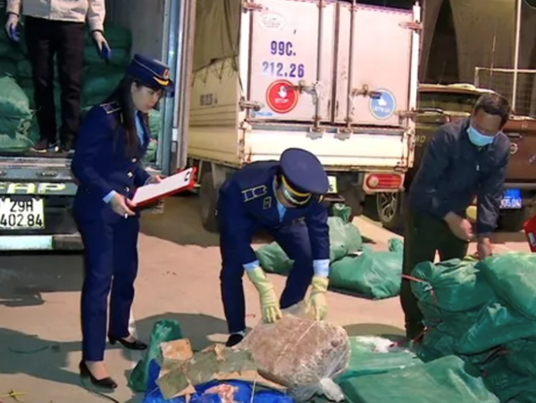 Lạng Sơn: Bắt xe tải vận chuyển hơn 2 tấn lòng bò chảy nước, bốc mùi