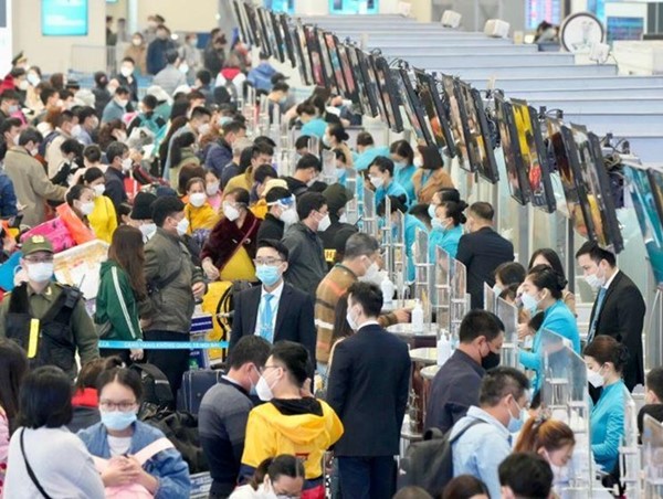 Giá vé máy bay hạng phổ thông trên các đường bay nội địa dịp Tết 2025 ra sao?