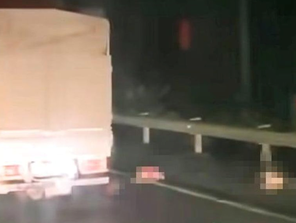 Dắt con nhỏ đi bộ trên cao tốc, 2 mẹ con bị xe tải tông thương vong