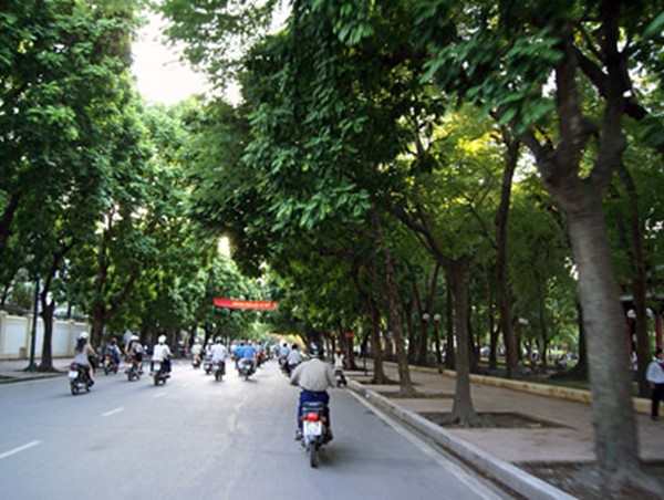 Điều chỉnh tổ chức giao thông đường Trần Phú và Thanh Báo, quận Ba Đình