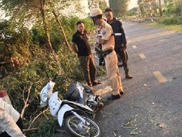 Cưa cây rơi trúng người đi đường, 1 sinh viên tử vong ở Hải Dương
