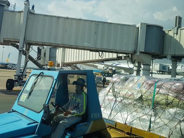 Hốt hoảng phát hiện xe tải chạy cắt mặt máy bay tại Tân Sơn Nhất