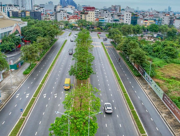 Đường dành riêng cho xe đạp: Giải pháp phát triển giao thông xanh
