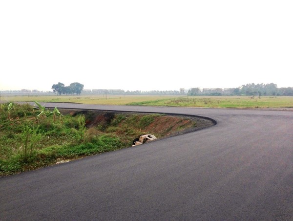 Quốc Oai: Cấm xe tải đi vào đường 421B