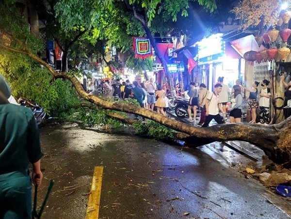 Hà Nội: Nhiều cây xanh bị đổ gãy do mưa giông