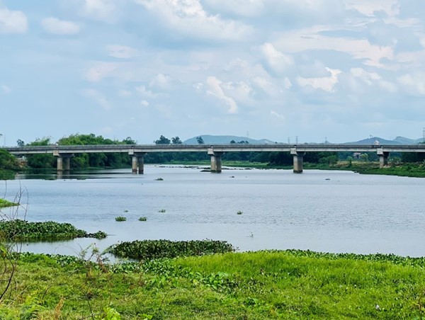 Cận cảnh cầu 250 tỷ ở Quảng Nam “đắp chiếu”