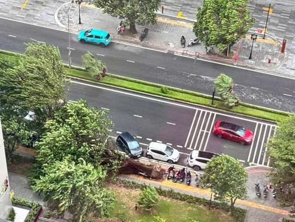 Hơn 400 cây gãy đổ, 7 người thương vong, nhiều phương tiện hư hỏng vì bão số 3