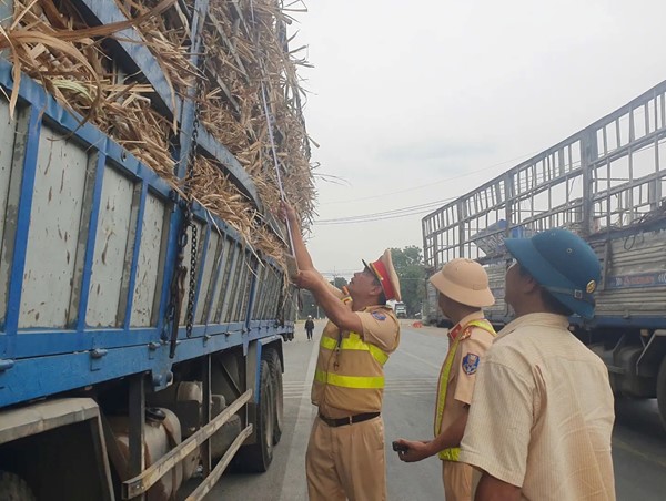 Gia Lai: đảm bảo trật tự an toàn giao thông mùa thu hoạch mía