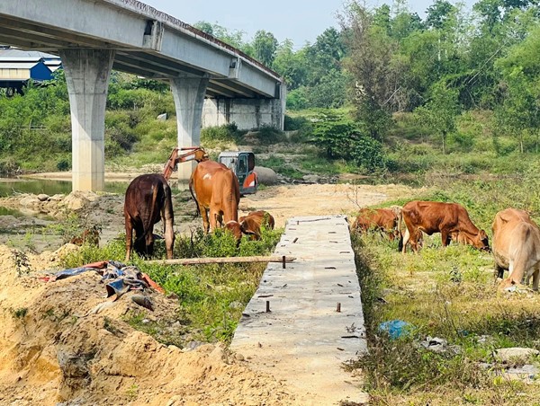 Chủ tịch UBND tỉnh Quảng Nam yêu cầu tháo gỡ “điểm nghẽn” mặt bằng