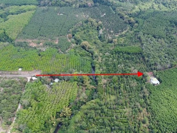 Nghiên cứu, rà soát kỹ phương án đầu tư đường kết nối Bình Phước - Đồng Nai qua cầu Mã Đà