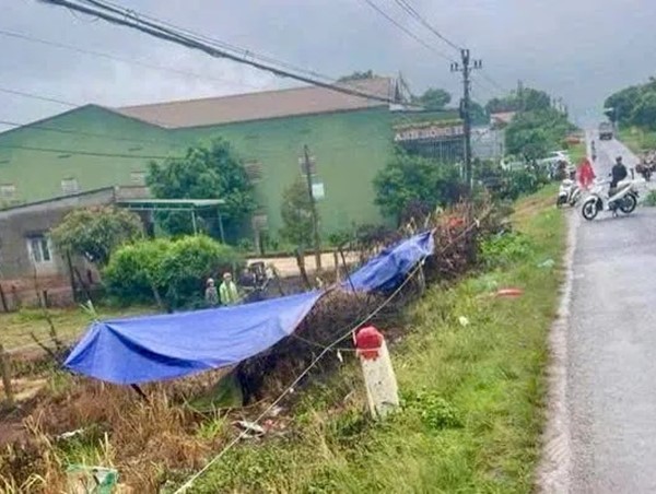 Đắk Lắk: hai thanh niên tử vong bên đường nghi do tai nạn