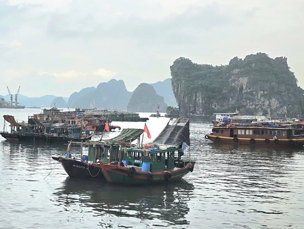 Quảng Ninh, Hải Phòng tạm dừng hoạt động phương tiện ngoài khơi để chủ động ứng phó bão số 1