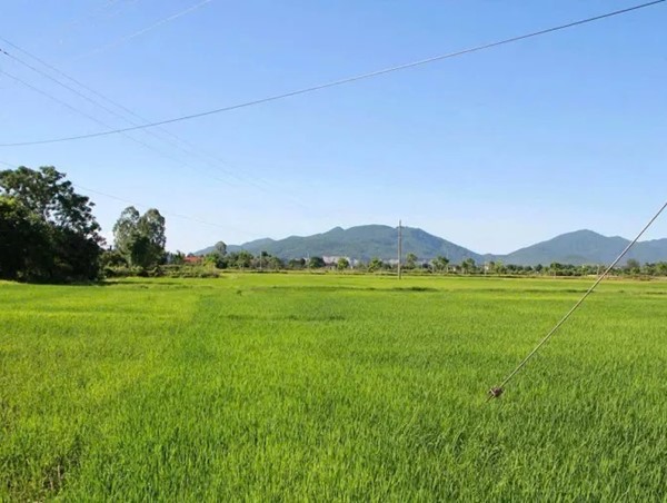 Hà Tĩnh: ngăn xây dựng công trình chờ bồi thường dự án đường sắt tốc độ cao