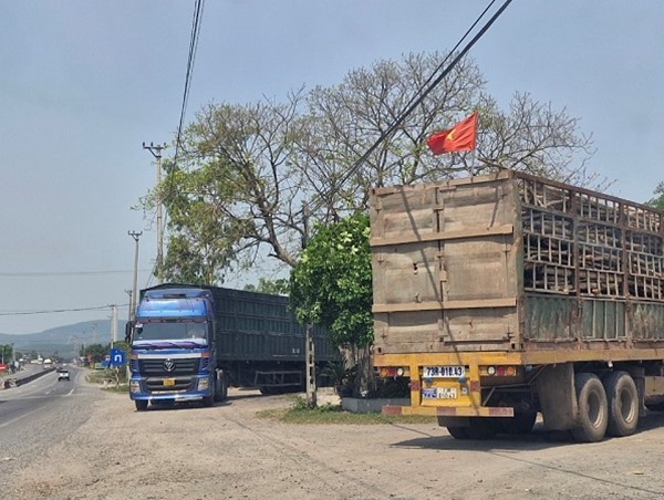 Quảng Bình: Phương tiện vận tải dừng đỗ gây mất an toàn giao thông trên quốc lộ
