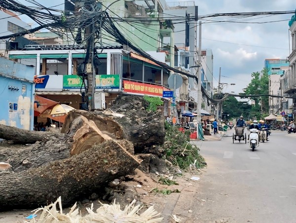 Đốn hạ cây, mở rộng đường vào sân bay Tân Sơn Nhất