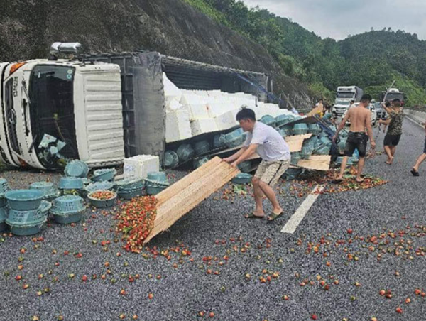 Xe tải chở hoa quả lật trên cao tốc Nội Bài - Lào Cai