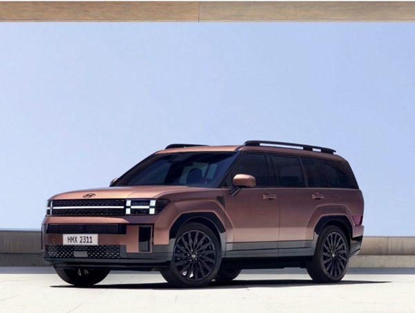 Gần 50.000 xe Santa Fe 2024 tại Mỹ bị triệu hồi do lỗi dây điện