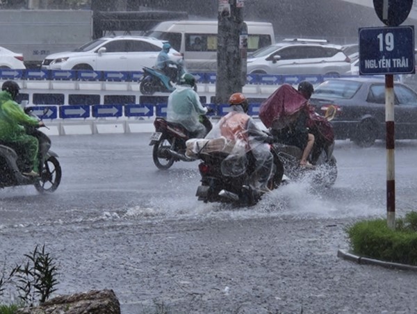 Hà Nội: mưa to, gió lớn gây đổ cây, ngập nhẹ tại một số tuyến phố