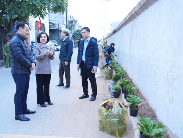 Nhân rộng mô hình chỉnh trang đô thị đường 5m tại phường Nhật Tân