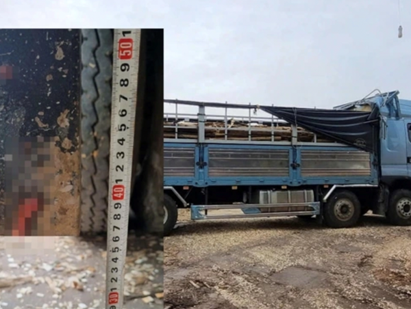 Bắt giữ tài xế xe tải gây tai nạn chết người rồi bỏ chạy