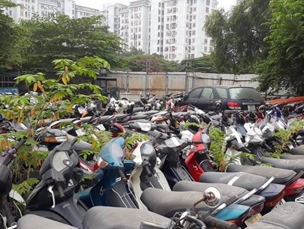 Thí điểm đấu giá tài sản vi phạm hành chính bị tịch thu trên VNeID