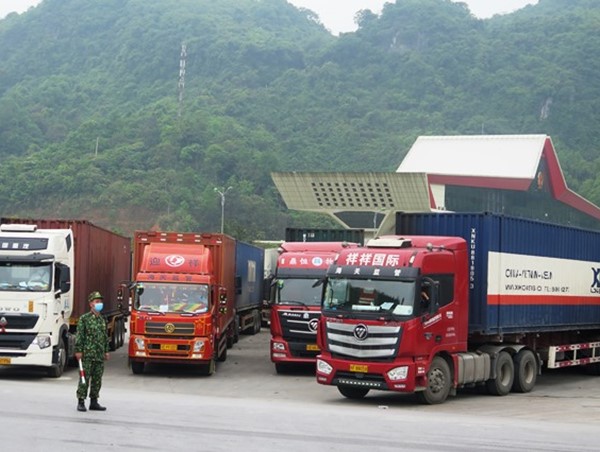 Đề nghị tiêm vaccine cho lái xe chở hàng xuất khẩu qua cửa khẩu biên giới