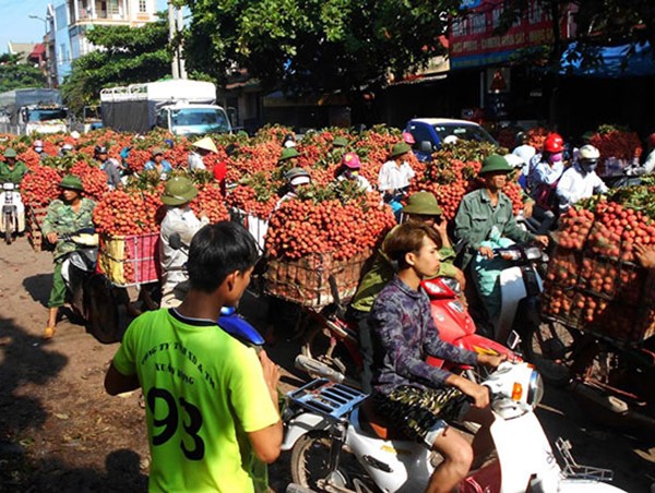 Tháo gỡ khó khăn cho tiêu thụ, vận chuyển nông sản trong bối cảnh dịch Covid-19