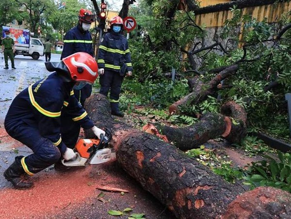 Nhanh chóng khắc phục sự cố cây đổ trên phố Hoả Lò