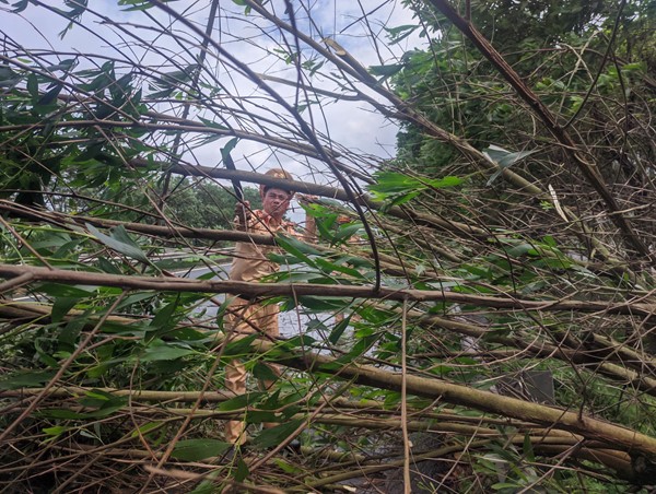 Cảnh sát giao thông xử lý cây đổ, thông đường cao tốc Pháp Vân – Cầu Giẽ - Ninh Bình